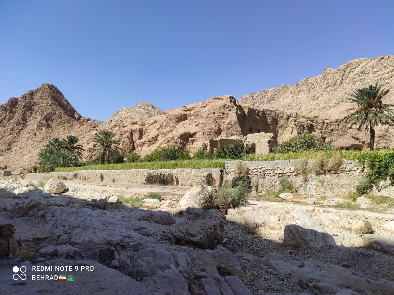 ازمیغان طبس، نخل و شالیزارهایی در دل کویر