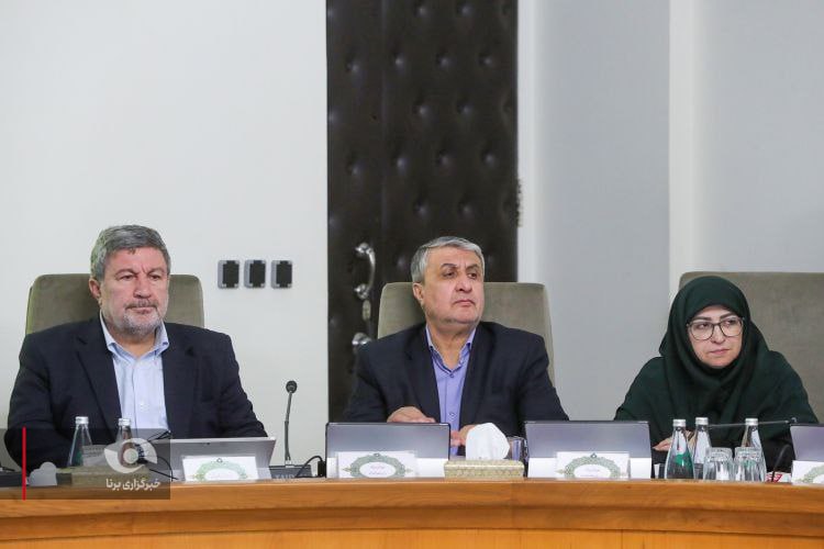 عکس/ جلسه هیئت دولت