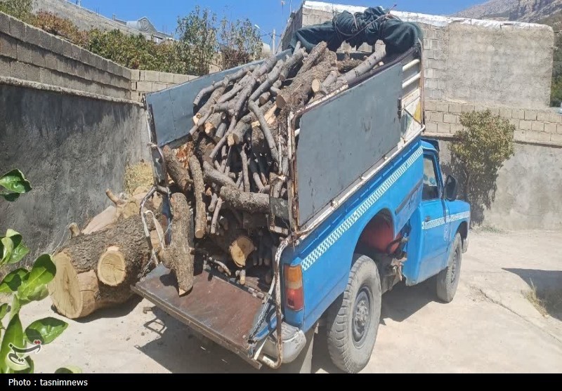 دستگیری 7 قاچاقچی چوب و زغال در چرام