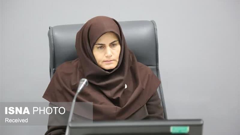 برگزاری نشست اکو فرصتی ارزشمند برای معرفی توانمندی و ظرفیتهای زنجان است