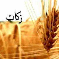 کردستانی‌ها ۸۱ میلیارد تومان زکات پرداخت کردند