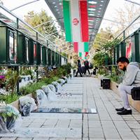 برادر شهید طهرانی‌مقدم: اقتدار موشکی ایران نتیجه خون شهیدان است