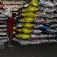 ۱۴۰۰ کیلوگرم زغال بلوط قاچاق در الیگودرز کشف شد
