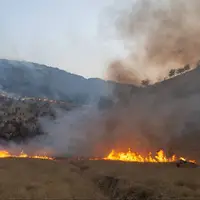 ۱۲۴ هکتار از مراتع مهاباد در آتش سوخت؛ خسارت ۱۳ میلیاردی به منابع طبیعی!
