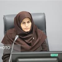 برگزاری نشست اکو ‌فرصتی ارزشمند برای معرفی توانمندی‌ و ظرفیت‌های زنجان است