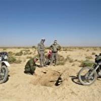 آغاز طرح مقابله با زنده گیری پرندگان شکاری در دامغان