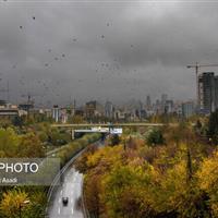 رگبار باران در شمال و جنوب کشور/ وزش باد شدید در برخی استان‌ها