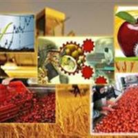 احداث شهرک صنایع تبدیلی و تکمیلی در باباریز سنندج