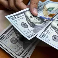 ماجرای دلارهای قاچاق با ادعای مالکیت ۳ تبعه خارجی در مشهد جنجالی شد 