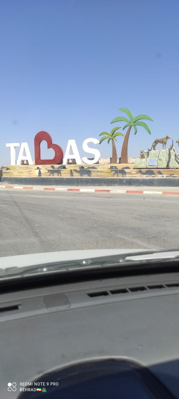 ازمیغان طبس، نخل و شالیزارهایی در دل کویر