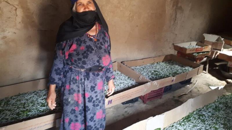 «یکه سعود» به شهر ملی ابریشم تبدیل خواهد شد