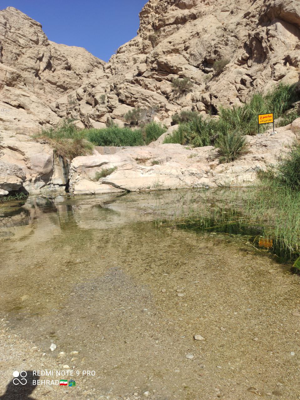 ازمیغان طبس، نخل و شالیزارهایی در دل کویر