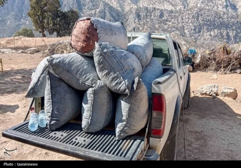 دستگیری 7 قاچاقچی چوب و زغال در چرام
