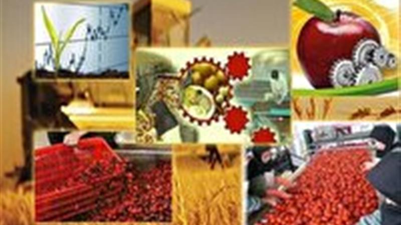 احداث شهرک صنایع تبدیلی و تکمیلی در باباریز سنندج