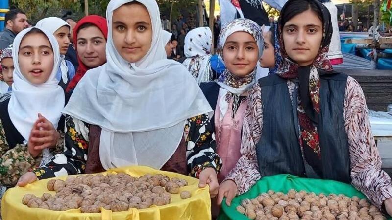 آغاز پنجمین جشنواره ملی گردو در سهرورد؛ جشن طعم، فرهنگ و طبیعت