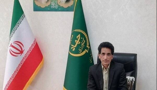 بیش از ۴۶۰۰ تن پسته از باغات زاهدان برداشت شد