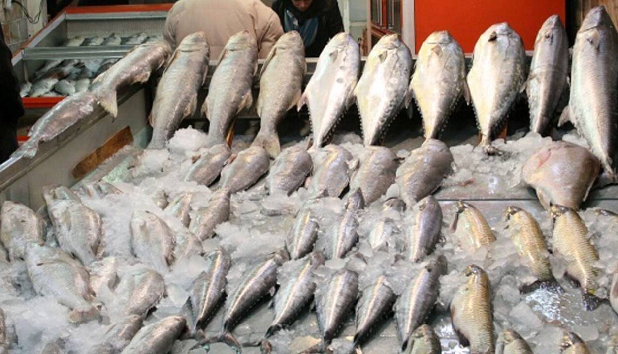 صادرات ۱۵۰۰ تُنی محصولات دریایی کنارک به 4 کشور آسیایی