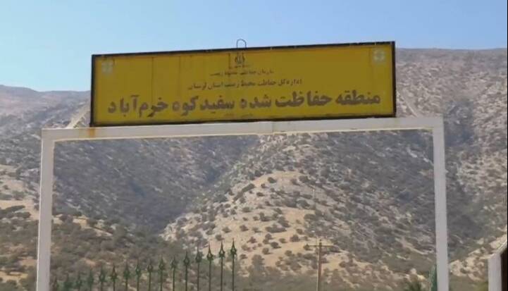 چشمان بیدار سفیدکوه؛ قلعه گونههای نادر نگهبان میخواهد!