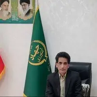 بیش از ۴۶۰۰ تن پسته از باغات زاهدان برداشت شد