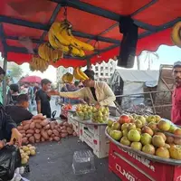 بازگشت تدریجی زندگی به بازار «الساحه» در شهر غزه