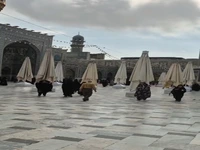 لحظاتی دلنشین در حرم امام رضا(ع)