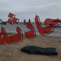 واژگونی پژو در بزرگراه برازجان - بوشهر؛ یک نفر جان باخت