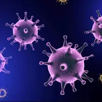 هشدار؛ آنفلوآنزای جدیدی در راه است، شاید خطرناک‌تر از کووید