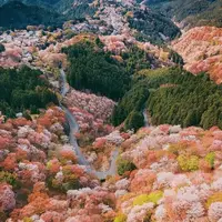 تصاویری دیدنی از طبیعت ژاپن