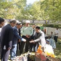 فرماندار خدابنده: ظرفیت‌های شهر سهرورد شایسته توجه ملی است