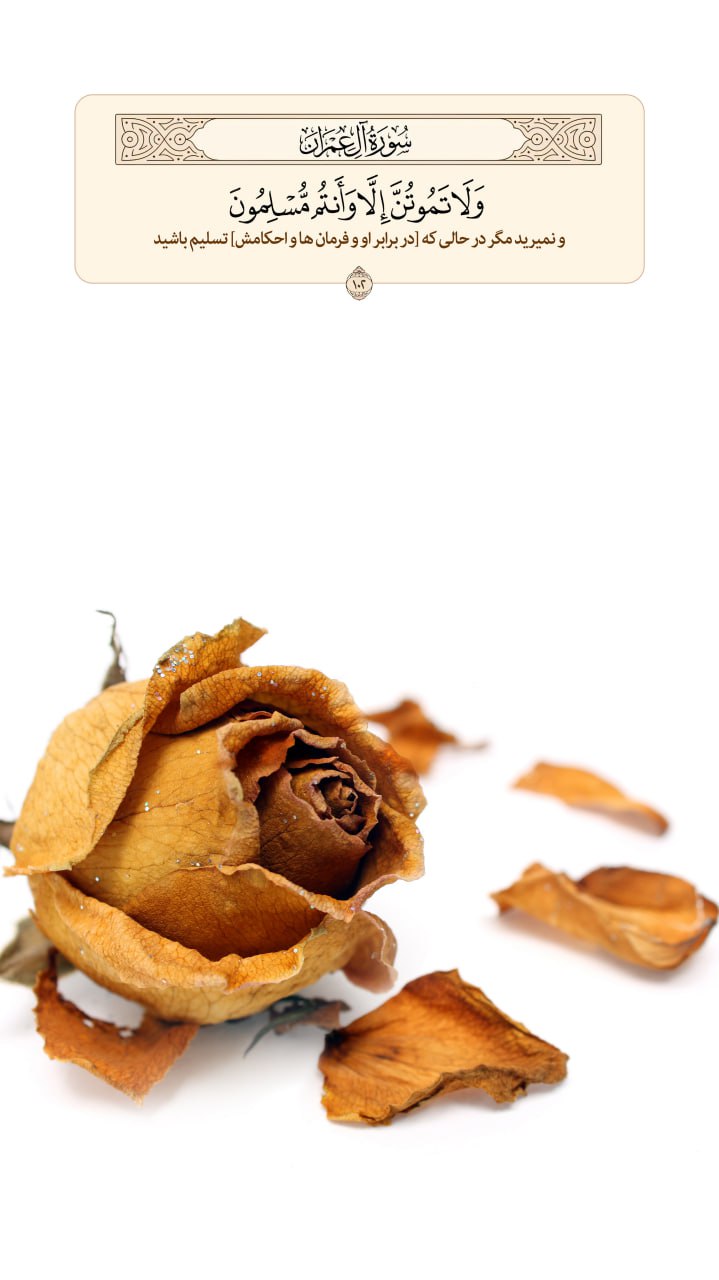 طرح/ تسلیم بودن هنگام مرگ 