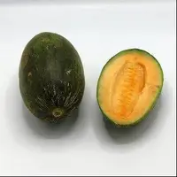خواص عجیب خربزه مه ولاتی!