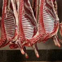 توزیع گوشت تنظیم بازاری از هفته آینده