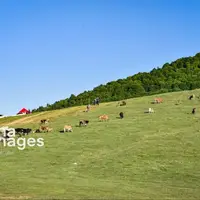 کارشناس هواشناسی: هوای گیلان گرم می‌شود