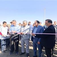 زمین چمن مصنوعی روستای تقی‌آباد خوسف به بهره‌برداری رسید