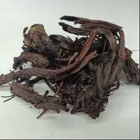 خواص هوا چوبه!