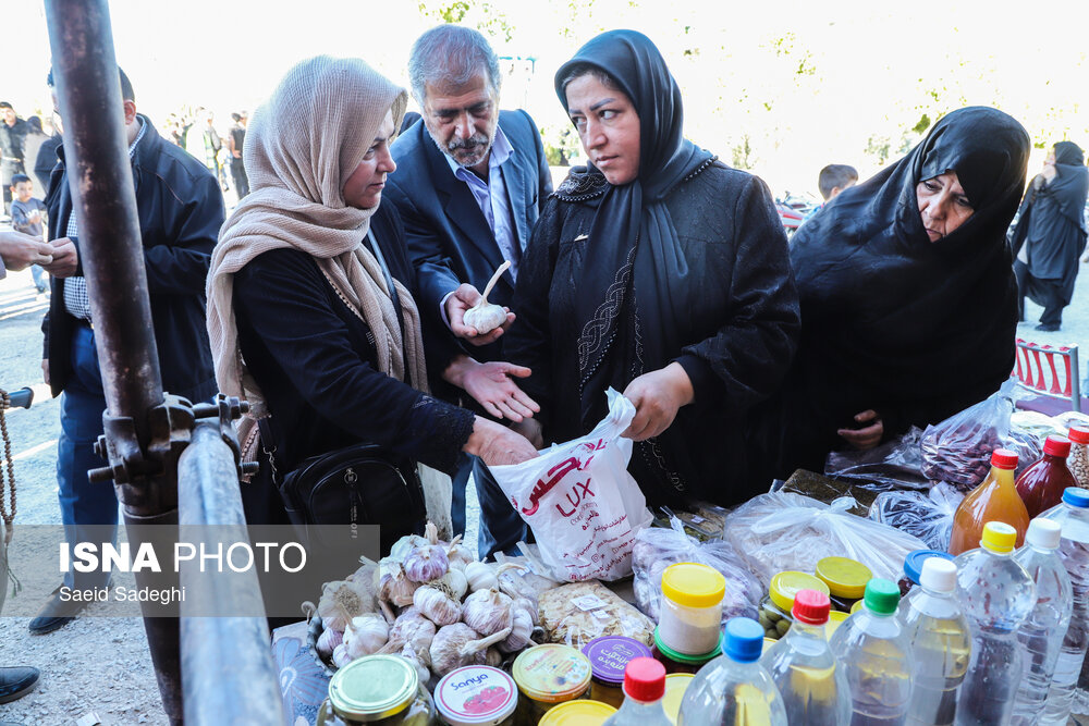 جشنواره سیر «تیمورلو» در آذربایجان شرقی