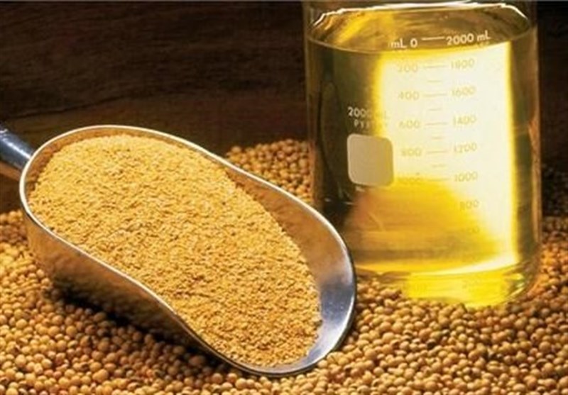 قیمت ارزی انواع غلات، روغن خام و دانههای روغنی اعلام شد