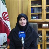 معاون استاندار: نشست اکو در راستای شعار بین‌المللی شدن زنجان است