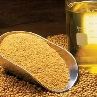 قیمت ارزی انواع غلات، روغن خام و دانه‌های روغنی اعلام شد