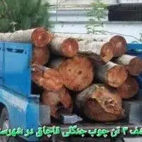 توقیف نیسان حامل ۳ تن چوب قاچاق در تنکابن