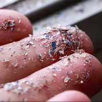 خطر آلودگی پلاستیکی برای قلب و عروق