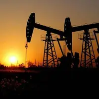 مدیر اکتشاف شرکت نفت: سرعت اکتشاف افزایش می‌یابد