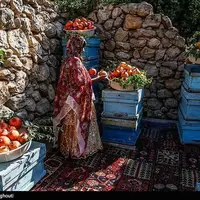 سومین جشنواره انار در شهرستان دزپارت