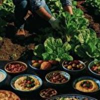 برپایی نمایشگاه از مزرعه تا سفره فردا در شهر جعفریه