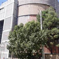 برج هنر ایلام جان می‌گیرد