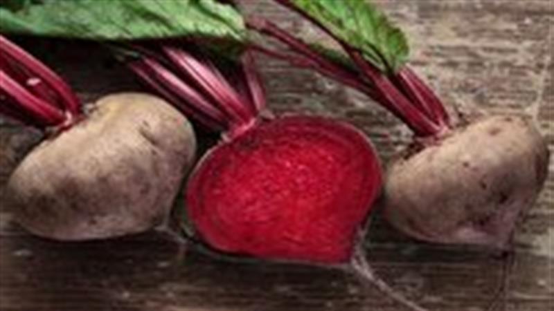 لبو؛ معجزه پاییزی برای قلب، مغز و بدن