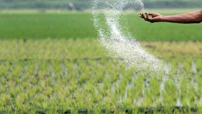 تحول در بخش کشاورزی استان مرکزی با اختصاص ۶ هزار میلیارد ریال اعتبار ملی