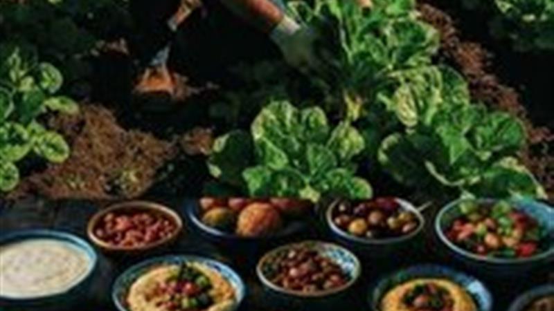 برپایی نمایشگاه از مزرعه تا سفره فردا در شهر جعفریه