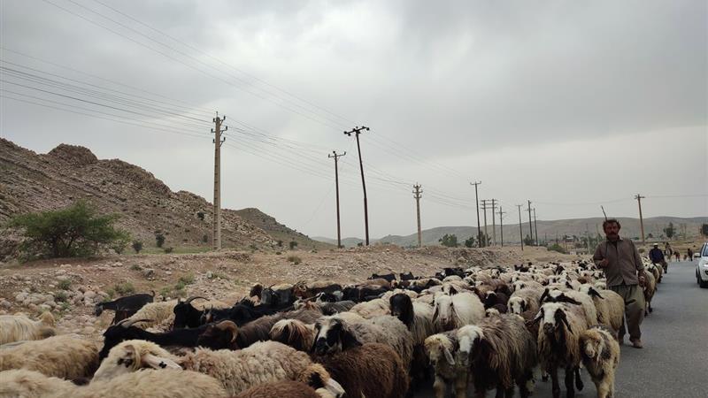 جاده کرج - چالوس امشب بسته می شود؛ تردد فقط دسترسی محلی