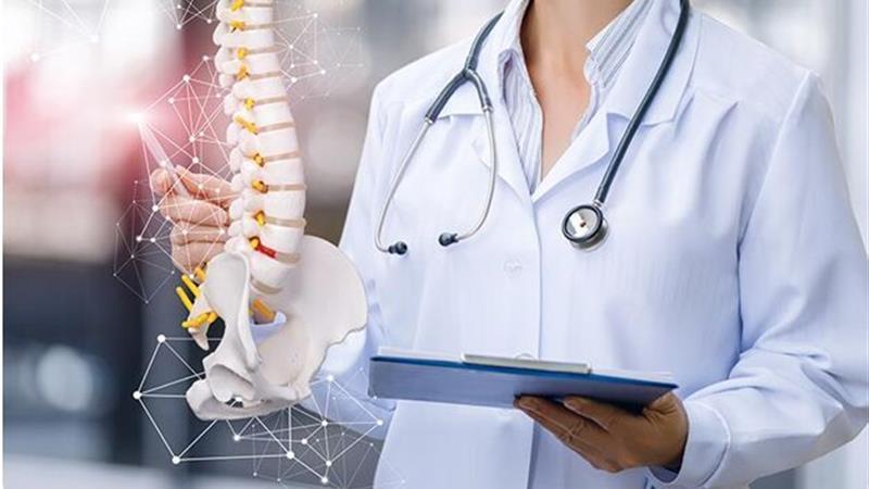 نقش کلیدی تغذیه در پیشگیری از پوکی استخوان؛ بیماری خاموش قرن